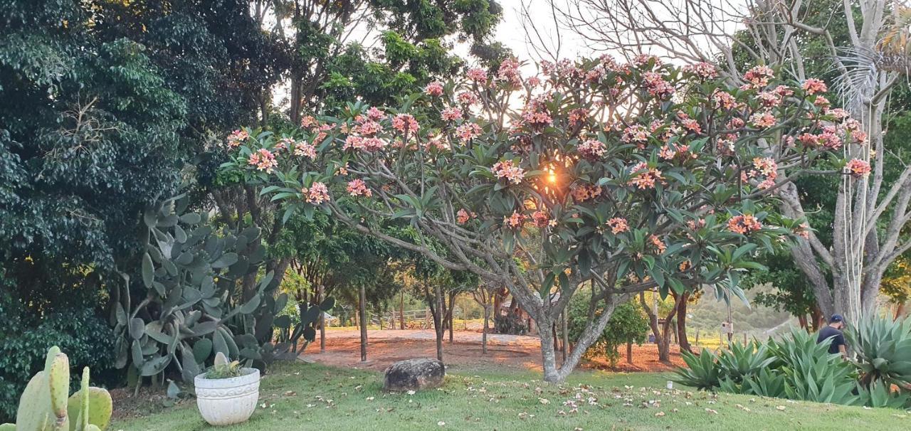 Ellementares Guest House โซกอร์โฮ ภายนอก รูปภาพ